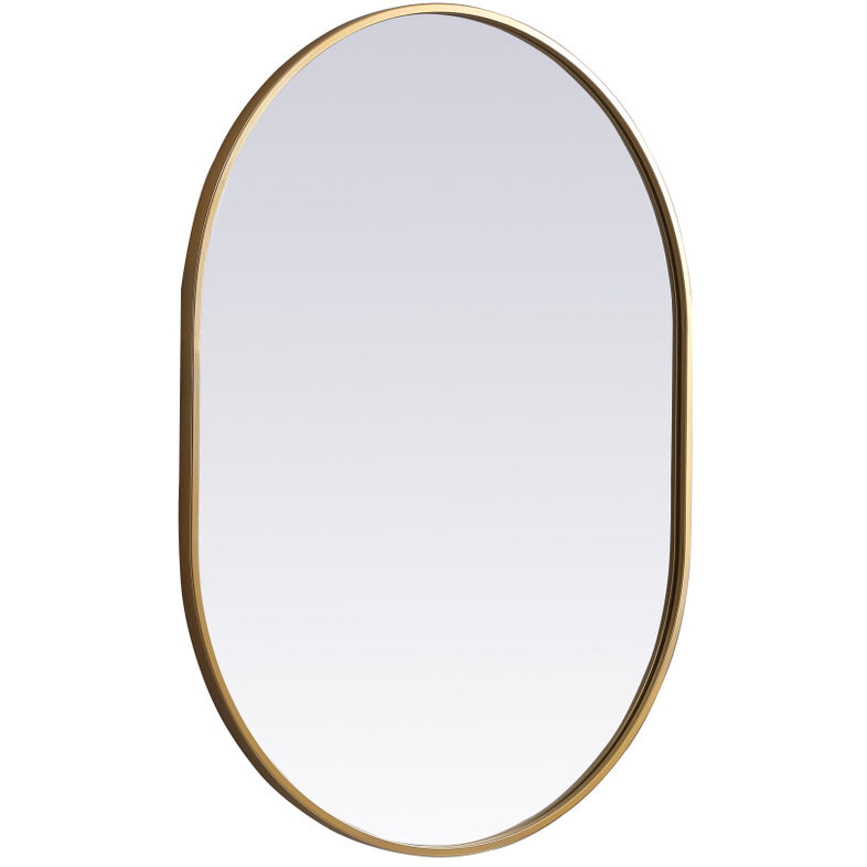 Asha 36 X 27 inch Brass Mirror in 27 x 36