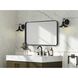 Remy 36 X 22 inch Black Mirror