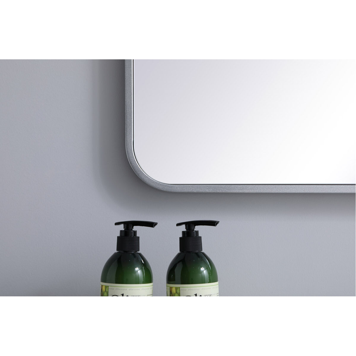 Evermore 40 X 24 inch Silver Mirror