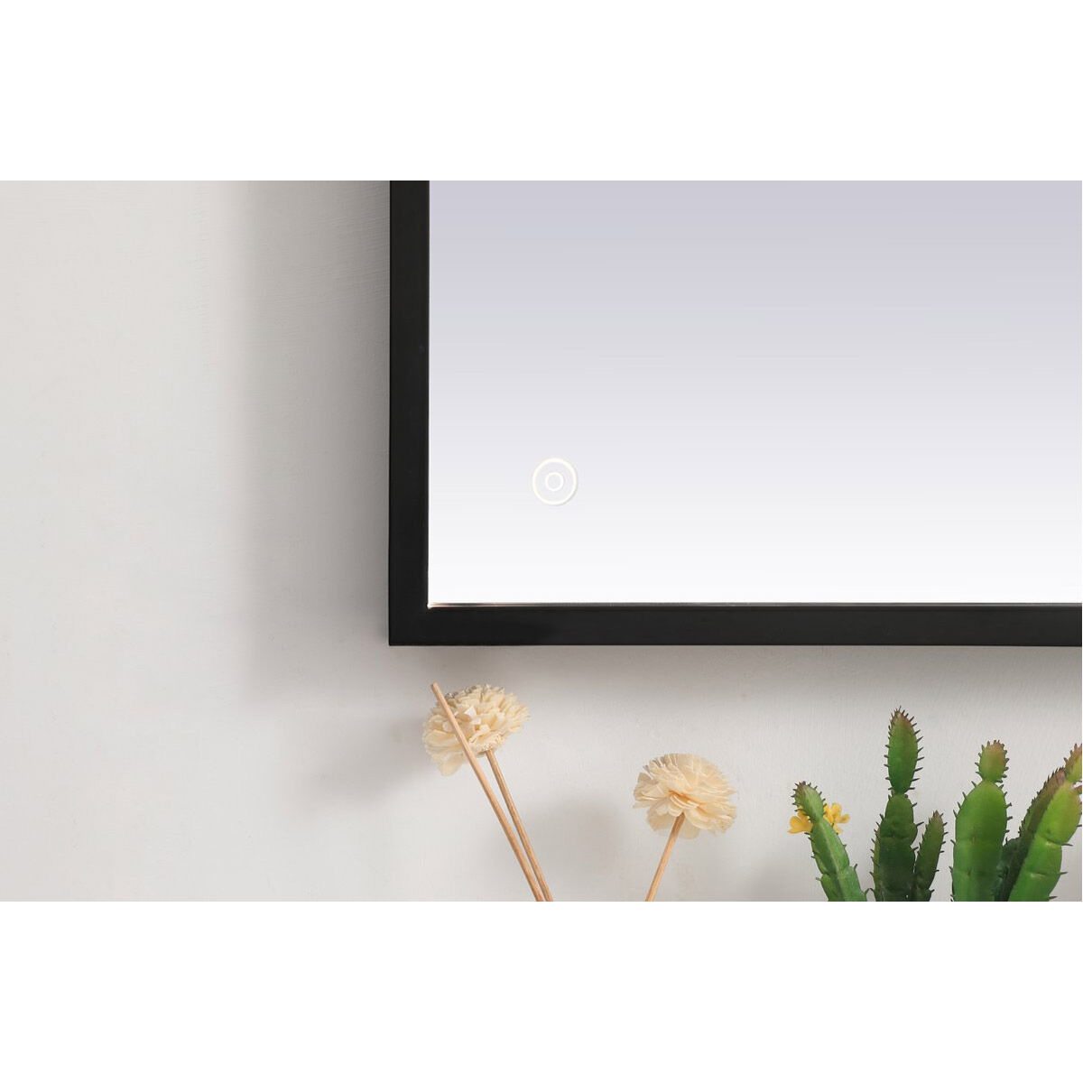 Pier 36 X 20 inch Black LED Mirror