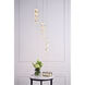 Polaris LED 12 inch Chrome Pendant Ceiling Light