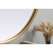 Asha 40 X 24 inch Brass Mirror in 24 x 40
