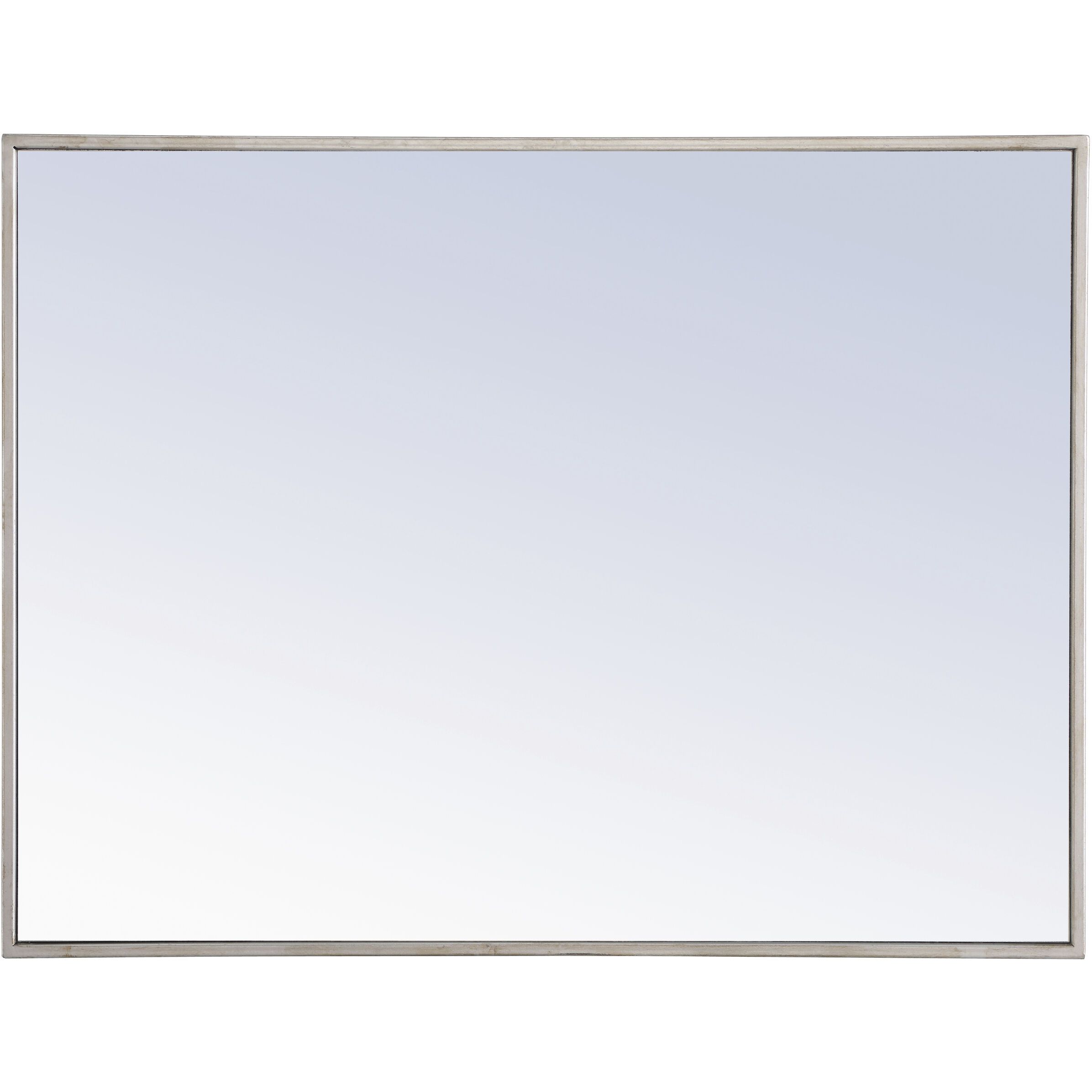 Monet 32 X 24 inch Silver Wall Mirror