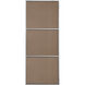 Monet 60 X 24 inch Silver Wall Mirror