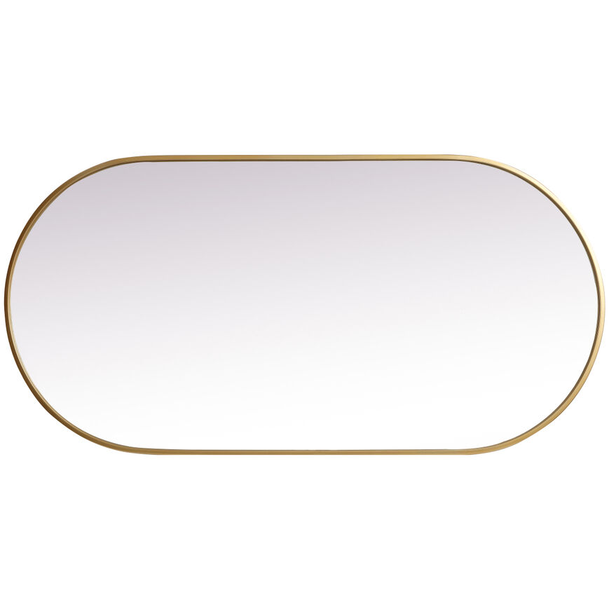Asha 48 X 24 inch Brass Mirror in 24 x 48