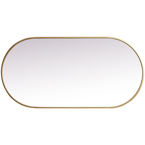 Asha 48 X 24 inch Brass Mirror in 24 x 48
