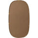 Brynn 36 X 20 inch Brass Mirror in 20 x 36