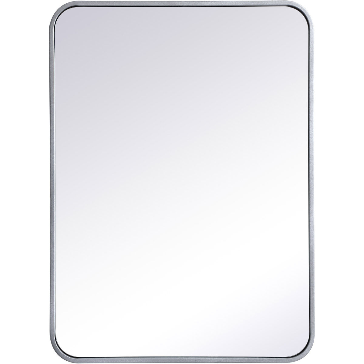 Evermore 30 X 22 inch Silver Mirror