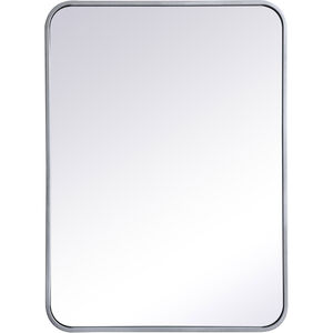 Evermore 30 X 22 inch Silver Mirror