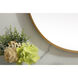 Brynn 36 X 27 inch Brass Mirror in 27 x 36