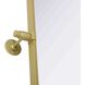 Amoura 32 X 24 inch Brass Mirror