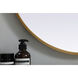 Asha 40 X 24 inch Brass Mirror in 24 x 40