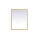 Pier 36 X 20 inch Brass LED Mirror