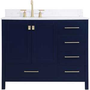 Irene 42 X 22 X 34 inch Blue Vanity Sink Set