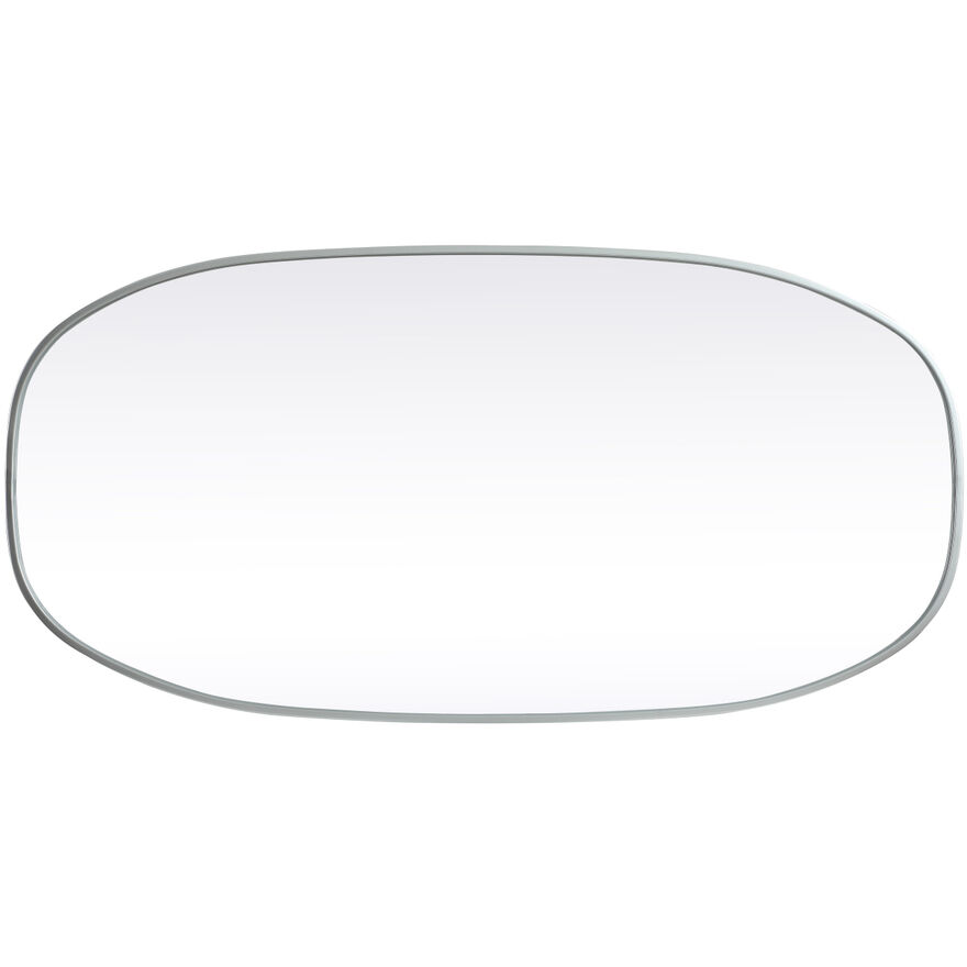 Brynn 48 X 24 inch Silver Mirror in 24 x 48