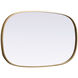 Brynn 36 X 20 inch Brass Mirror in 20 x 36