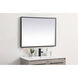 Pier 40 X 24 inch Black LED Mirror
