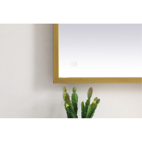 Pier 40 X 20 inch Brass LED Mirror
