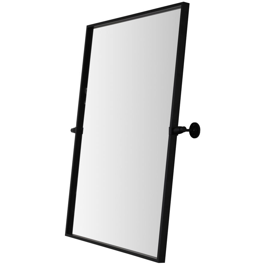 Everly 32 X 24 inch Black Mirror