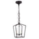 Denmark 2 Light 9.50 inch Pendant
