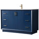 Hayes 54 X 22 X 35 inch Blue Vanity Sink Set