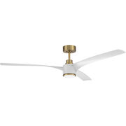 Indoor Ceiling Fans