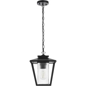 Gaul 1 Light 10 inch Black Outdoor Pendant