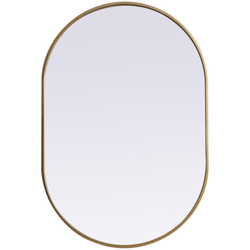 Asha 40 X 27 inch Brass Mirror in 27 x 40