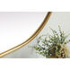 Asha 48 X 24 inch Brass Mirror in 24 x 48