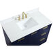 Blake 42 X 22 X 34 inch Blue Vanity Sink Set