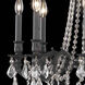 Rosalia 8 Light 24 inch Dark Bronze Dining Chandelier Ceiling Light in Golden Teak, Royal Cut