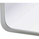 Remy 40 X 24 inch Silver Mirror