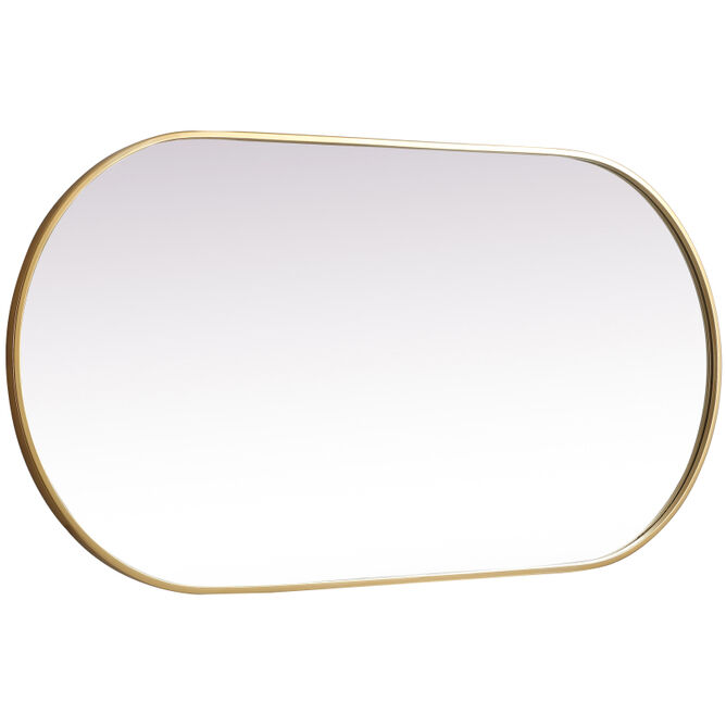 Asha 48 X 24 inch Brass Mirror in 24 x 48