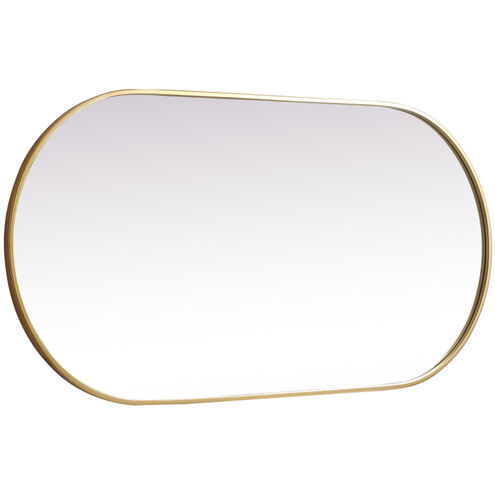 Asha 48 X 24 inch Brass Mirror in 24 x 48