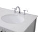 Irene 60 X 22 X 34 inch Gray Vanity Sink Set