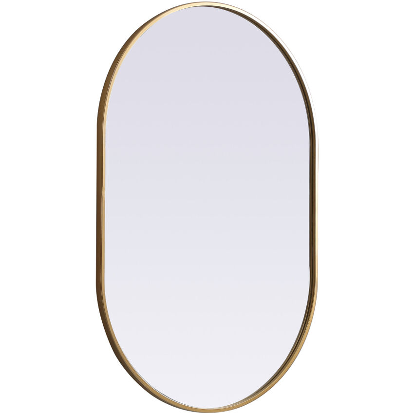 Asha 40 X 27 inch Brass Mirror in 27 x 40