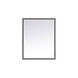 Pier 36 X 20 inch Black LED Mirror