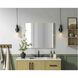 Amoura 30 X 27 inch Brass Mirror