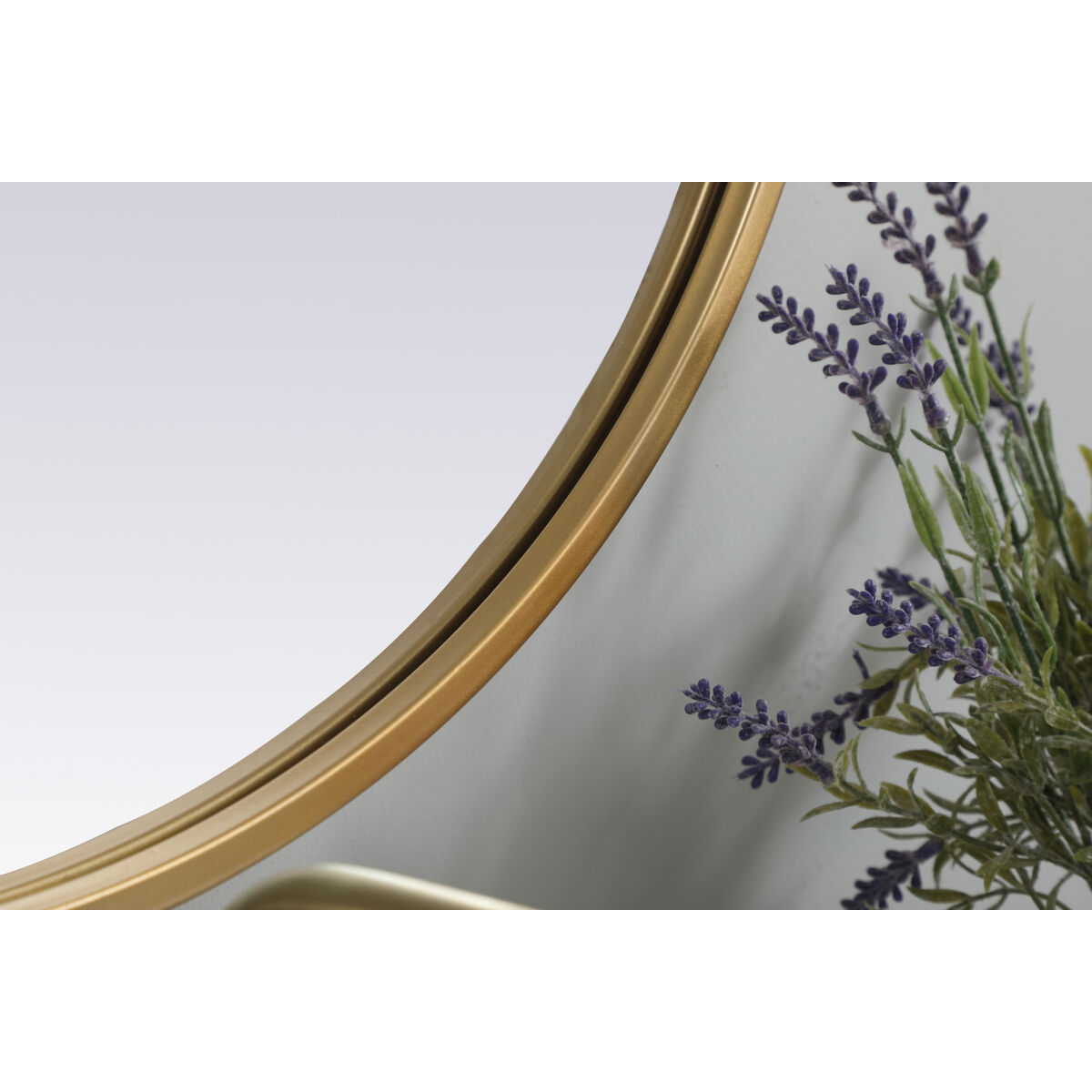 Asha 30 X 20 inch Brass Mirror in 20 x 30