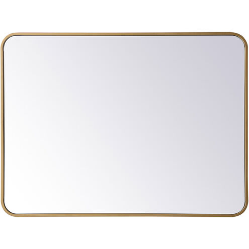 Evermore 36 X 27 inch Brass Mirror