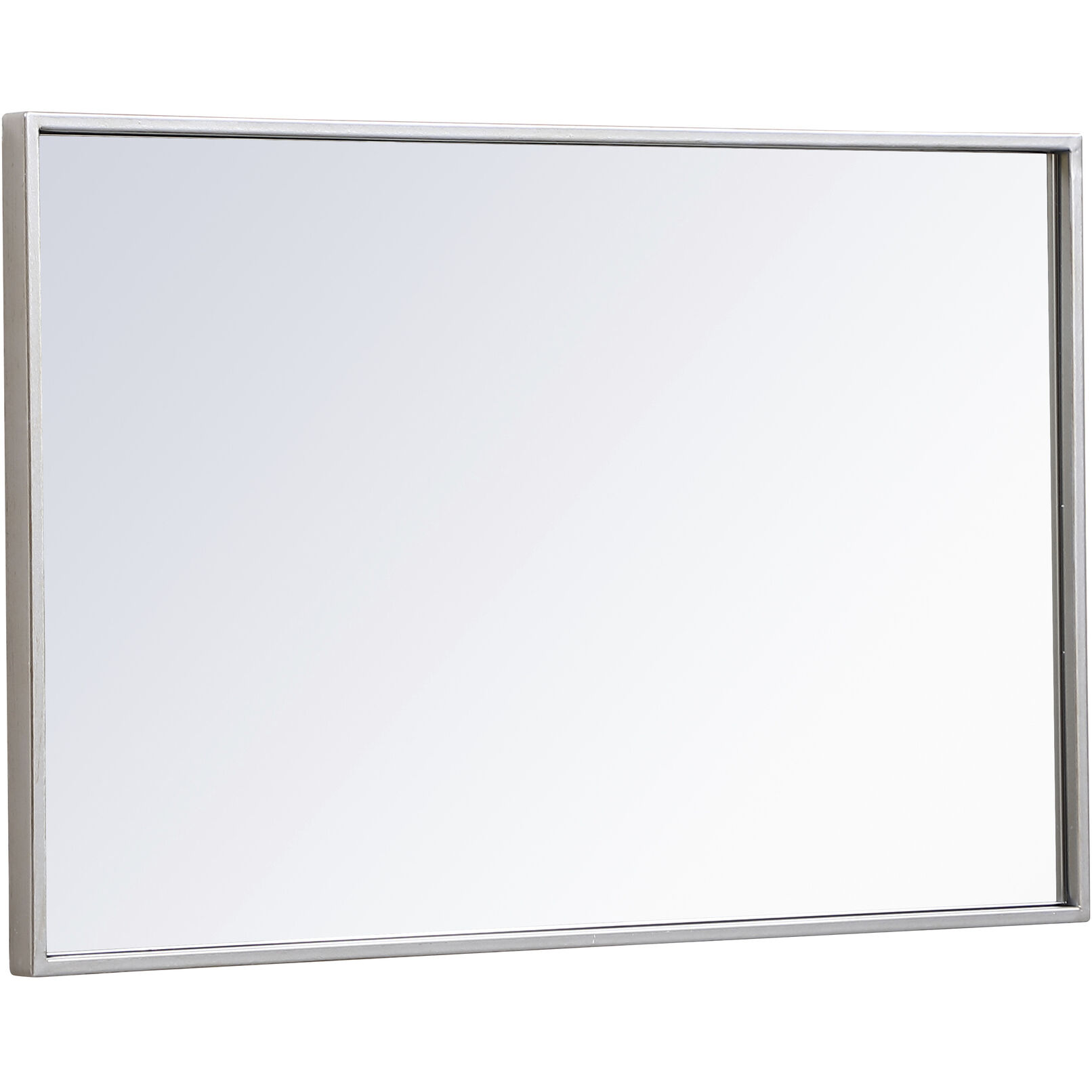 Monet 28 X 18 inch Sliver Wall Mirror in Silver