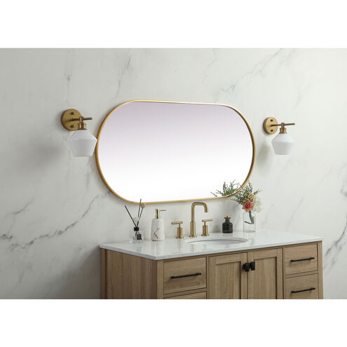 Asha 48 X 24 inch Brass Mirror in 24 x 48