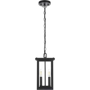 Venango 2 Light 7 inch Black Outdoor Pendant