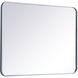 Evermore 36 X 27 inch Silver Mirror