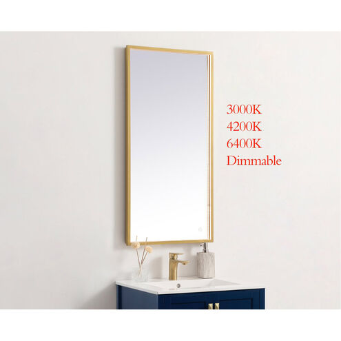 Pier 30 X 20 inch Brass LED Mirror