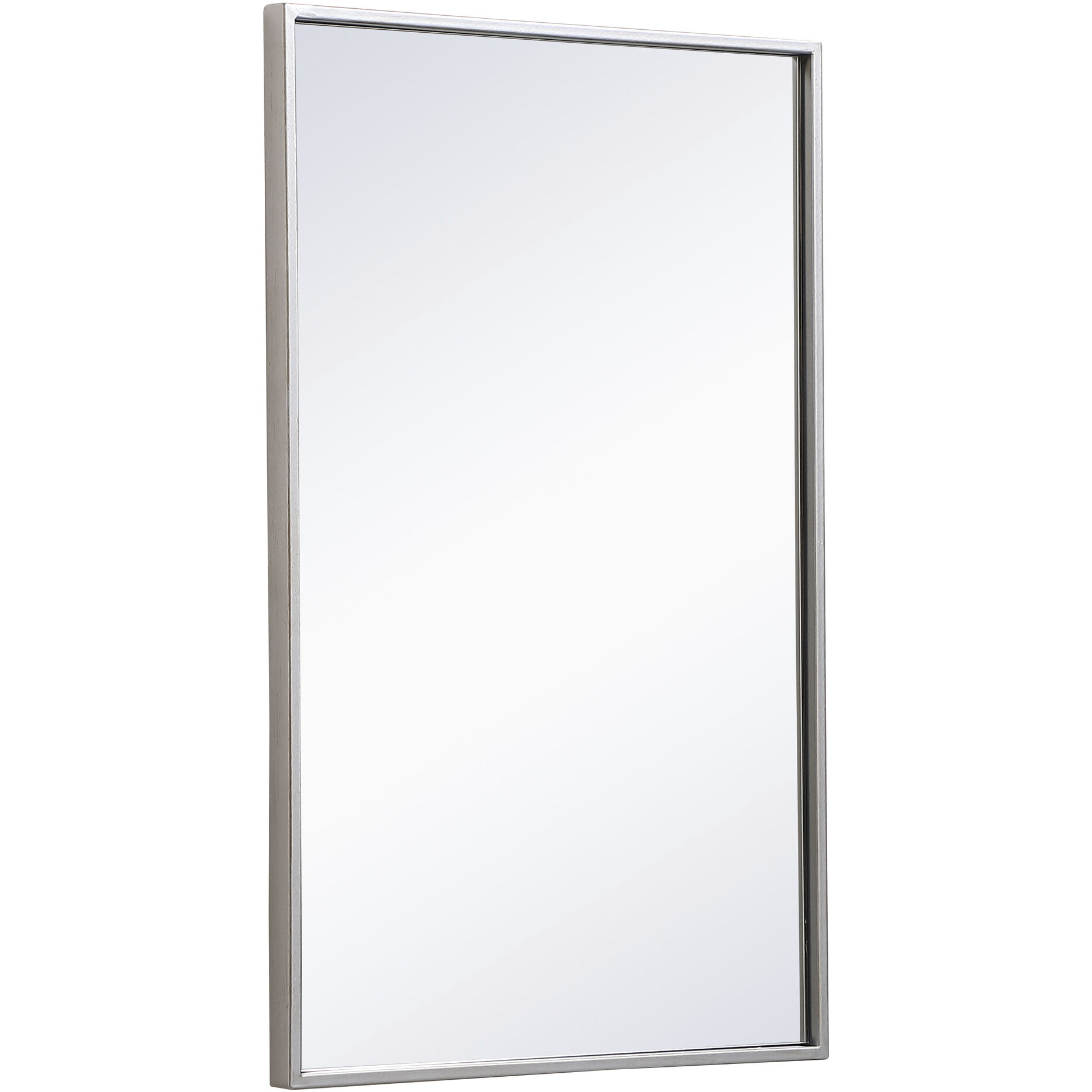 Monet 28 X 18 inch Sliver Wall Mirror in Silver