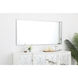 Monet 60 X 30 inch Silver Wall Mirror