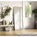 Remy 72 X 32 inch Silver Mirror