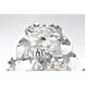Adaline Wall Sconce Wall Light