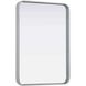 Remy 30 X 22 inch Silver Mirror